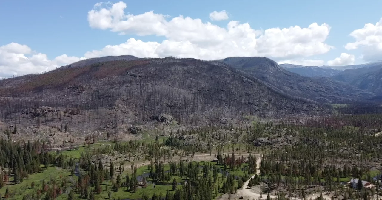 Why is flooding worse near areas burned by wildfire, and what can be done about it?