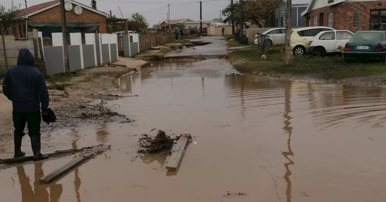 SPCA calls for donations to aid animals in WC's flood-hit areas