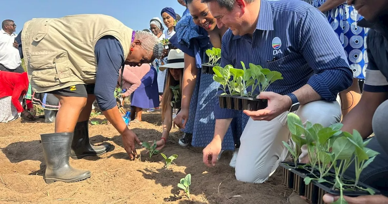 Steenhuisen lauds incredible work done by women in agriculture