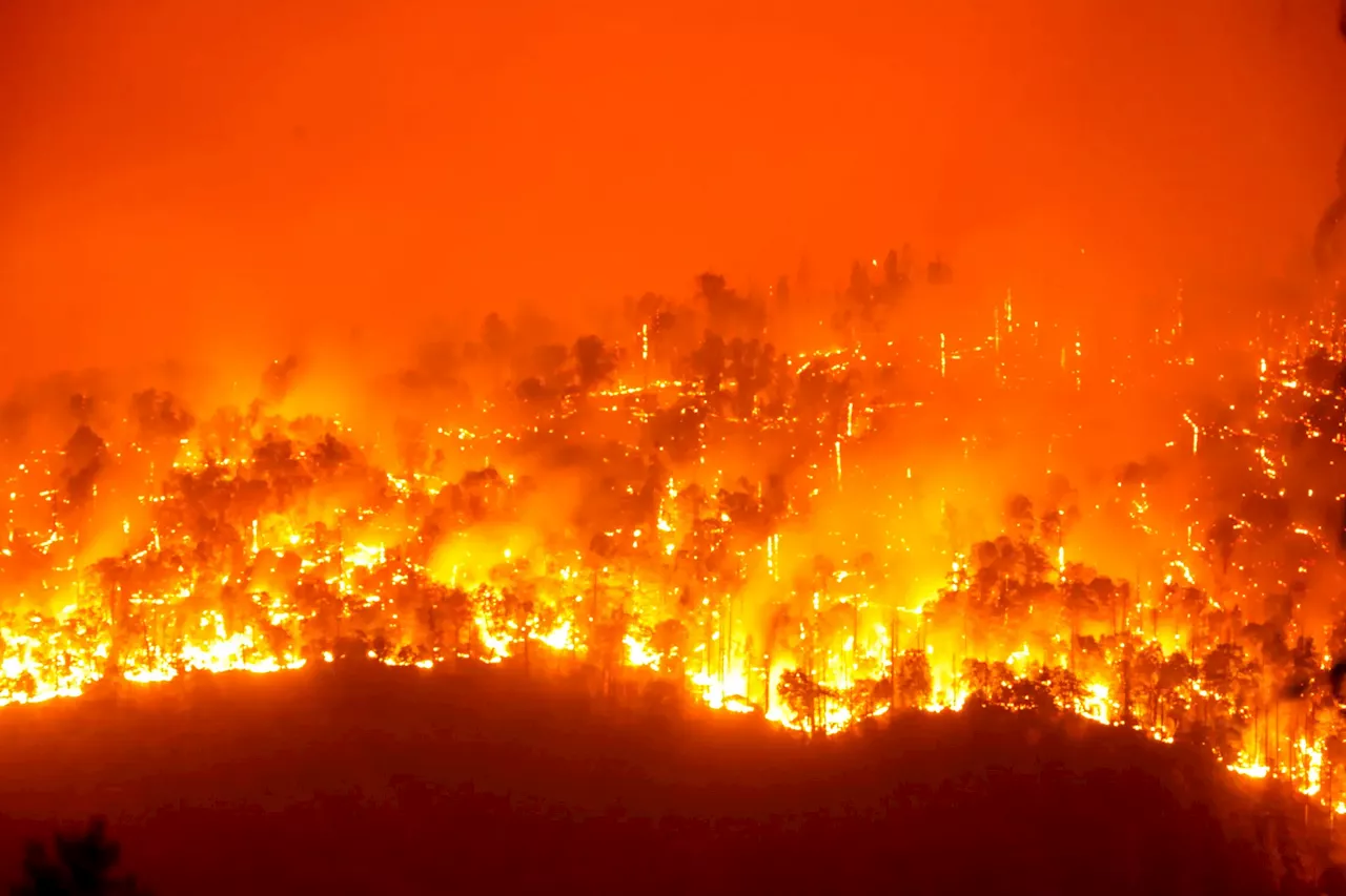 Incêndios: detido em Ponte da Barca tinha fascínio por fogo e pela movimentação de meios