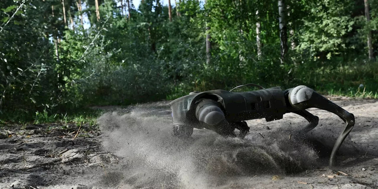 Unterstützung auf vier Beinen: Roboterhunde sollen ukrainische Soldaten entlasten