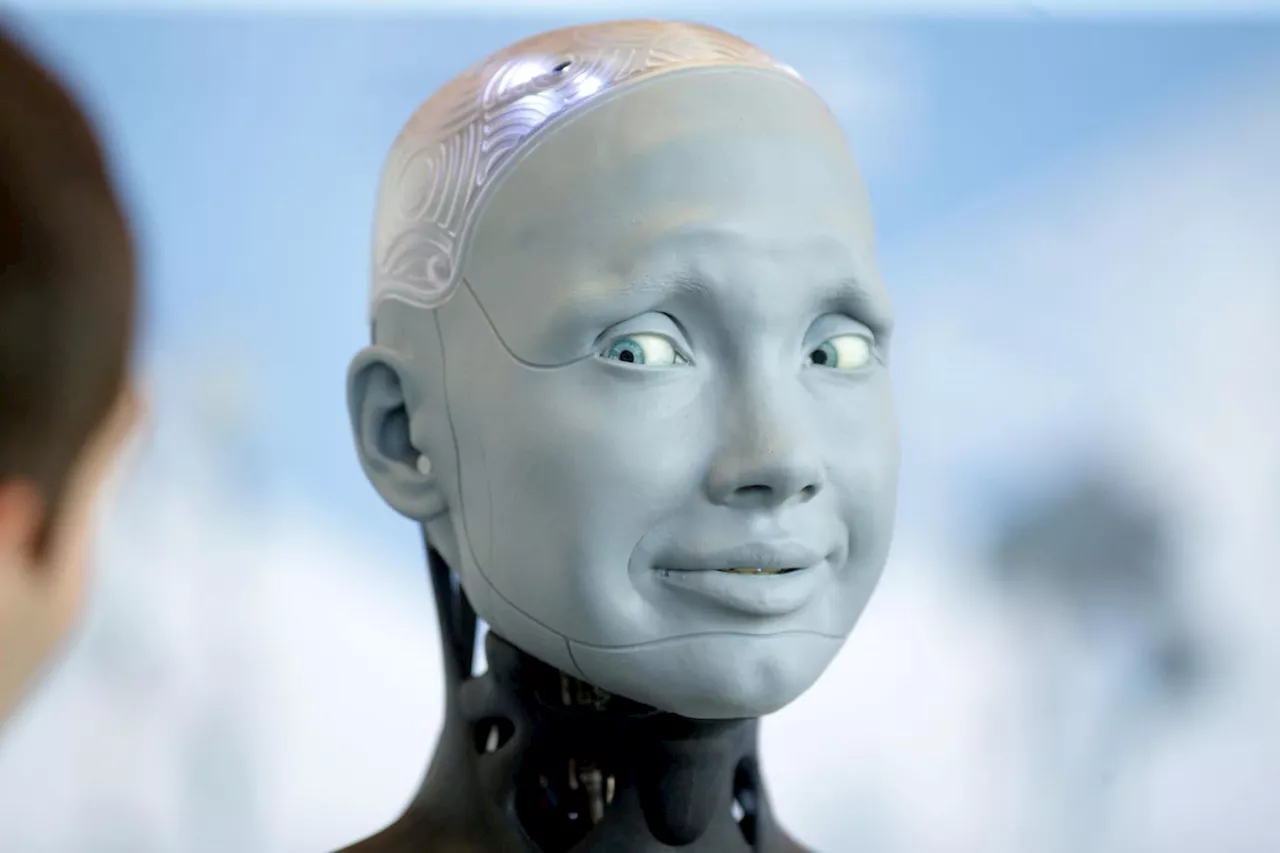 The Human Face Of AI Software Code Assistants