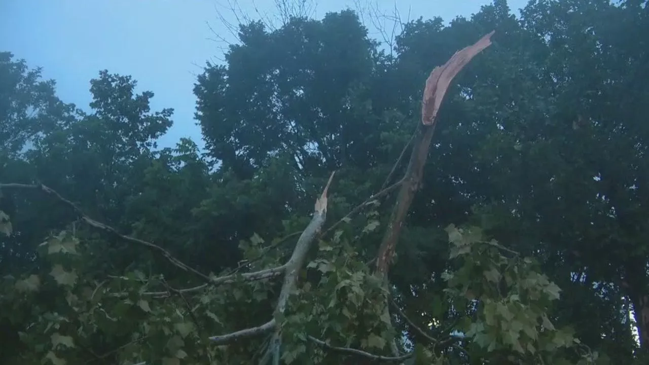 Tornado damages buildings, shreds trees in New Castle County; Chester County pounded by heavy rain