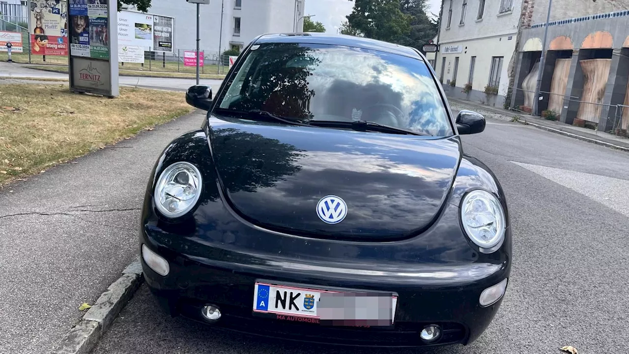 Mit Blaulicht ausgestattet - IS-Fanatiker übten Anschlag mit schwarzem VW Beetle