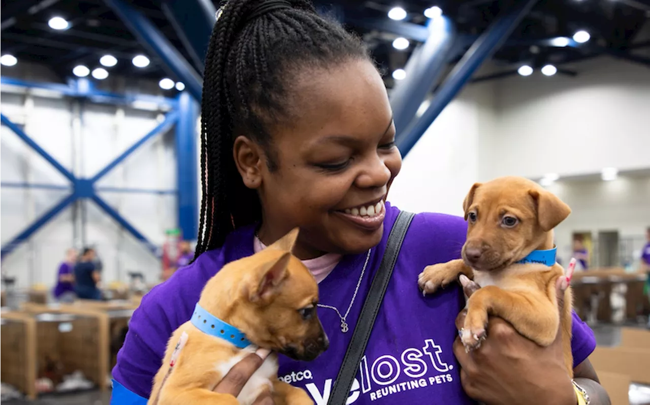 Over 1,000 Animals Looking For a Home At The Petco Love Mega Adoption Event