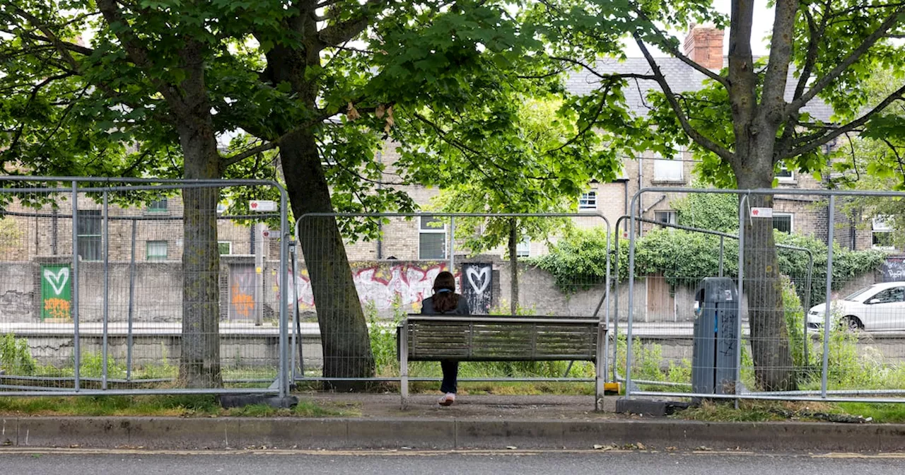 Fencing against tents on Dublin canal ‘exclusionary’ and ‘racist’, campaigners say