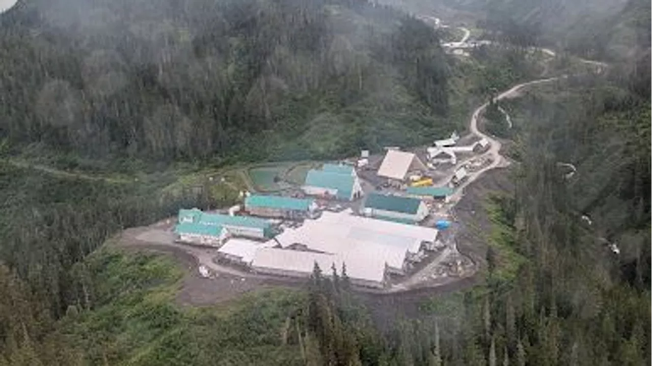 Beyond gold: Skeena Resources' Eskay Creek to be a major silver producer