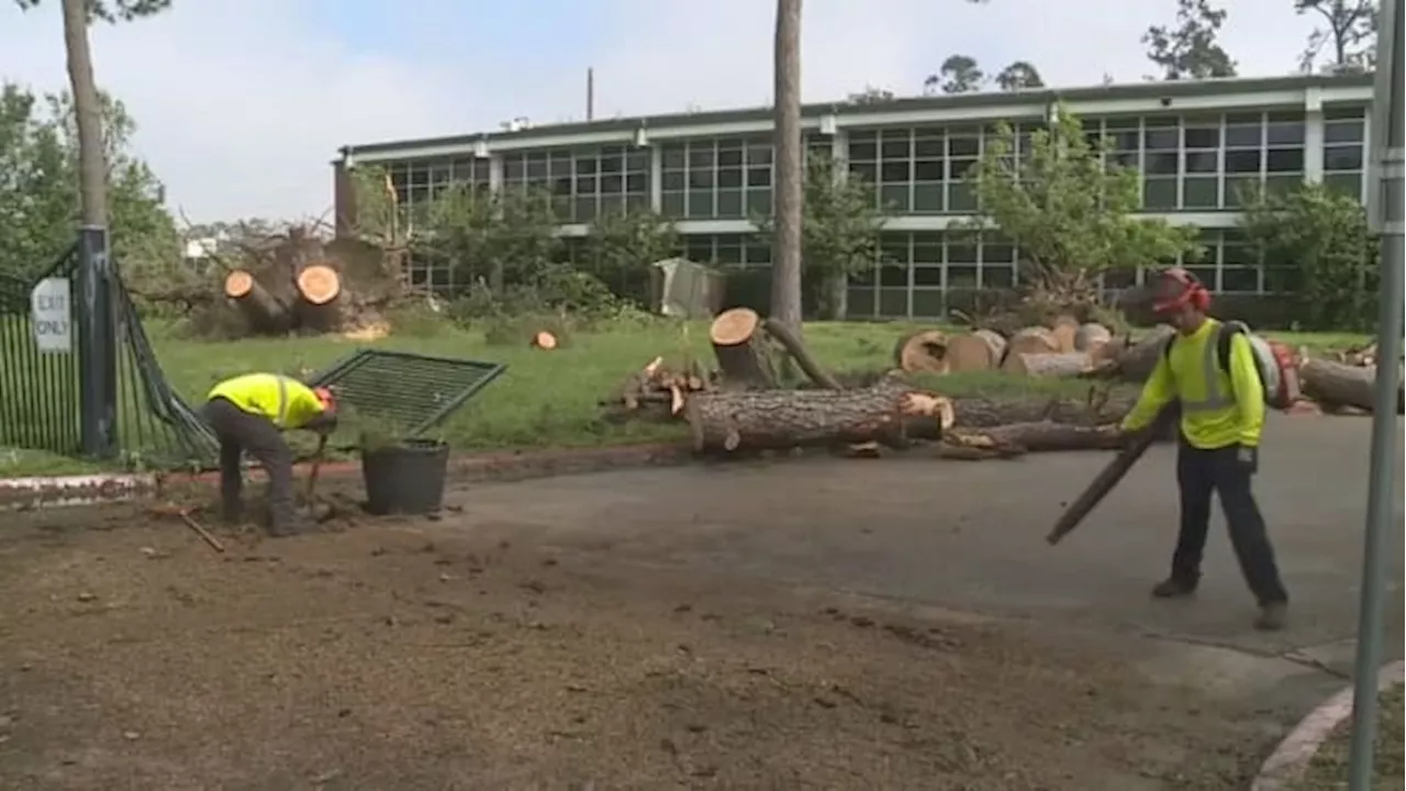 SHARE PHOTOS: Does your Houston ISD school still have storm debris from Hurricane Beryl?