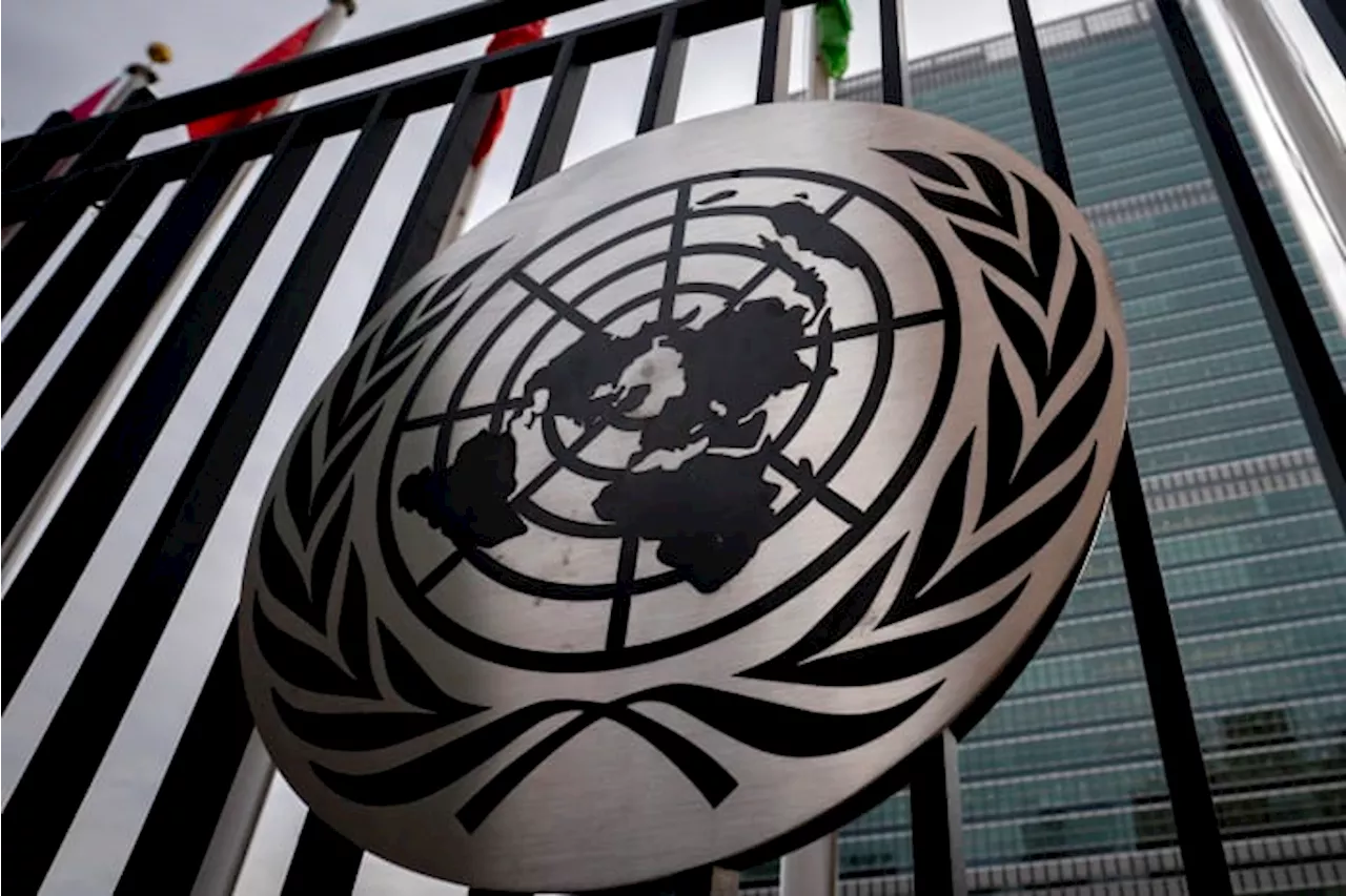 The UN is moving to fight cybercrime but privacy groups say human rights will be violated