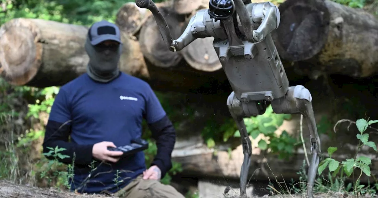 Ukraine setzt im Krieg auf Roboterhunde