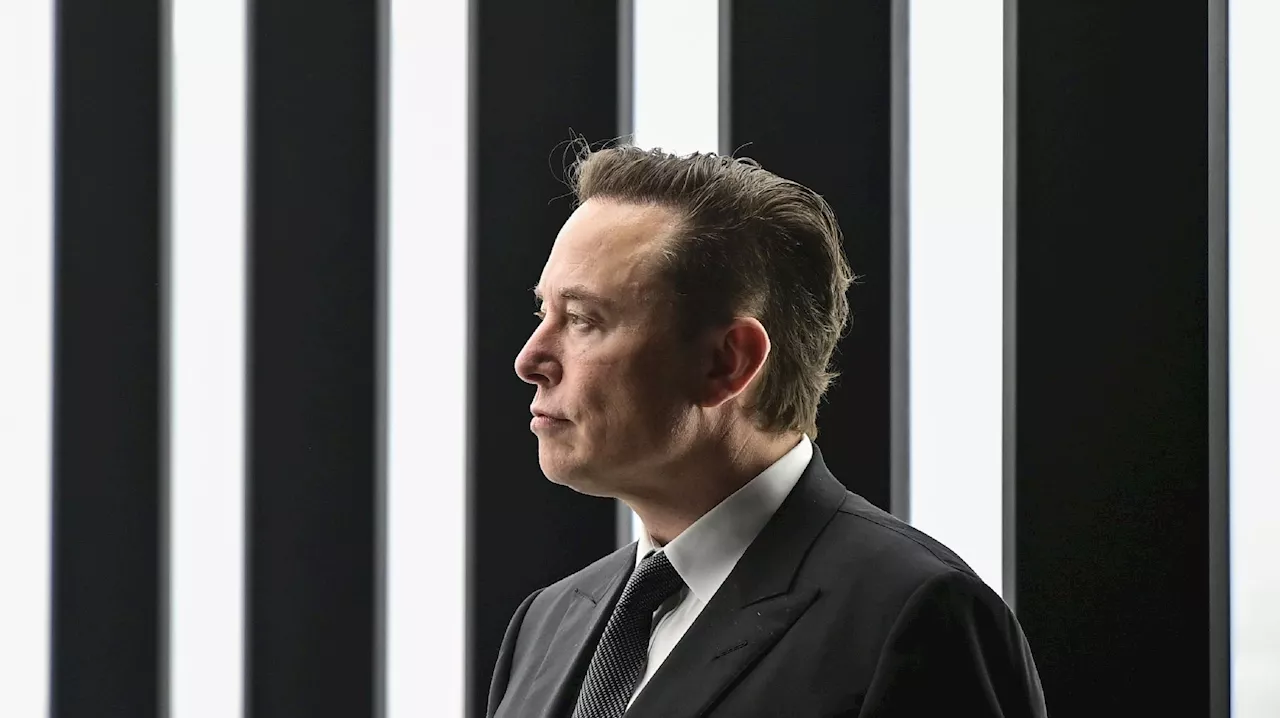 Présidentielle américaine : 1,2 milliard de vues pour des posts trompeurs ou faux d'Elon Musk