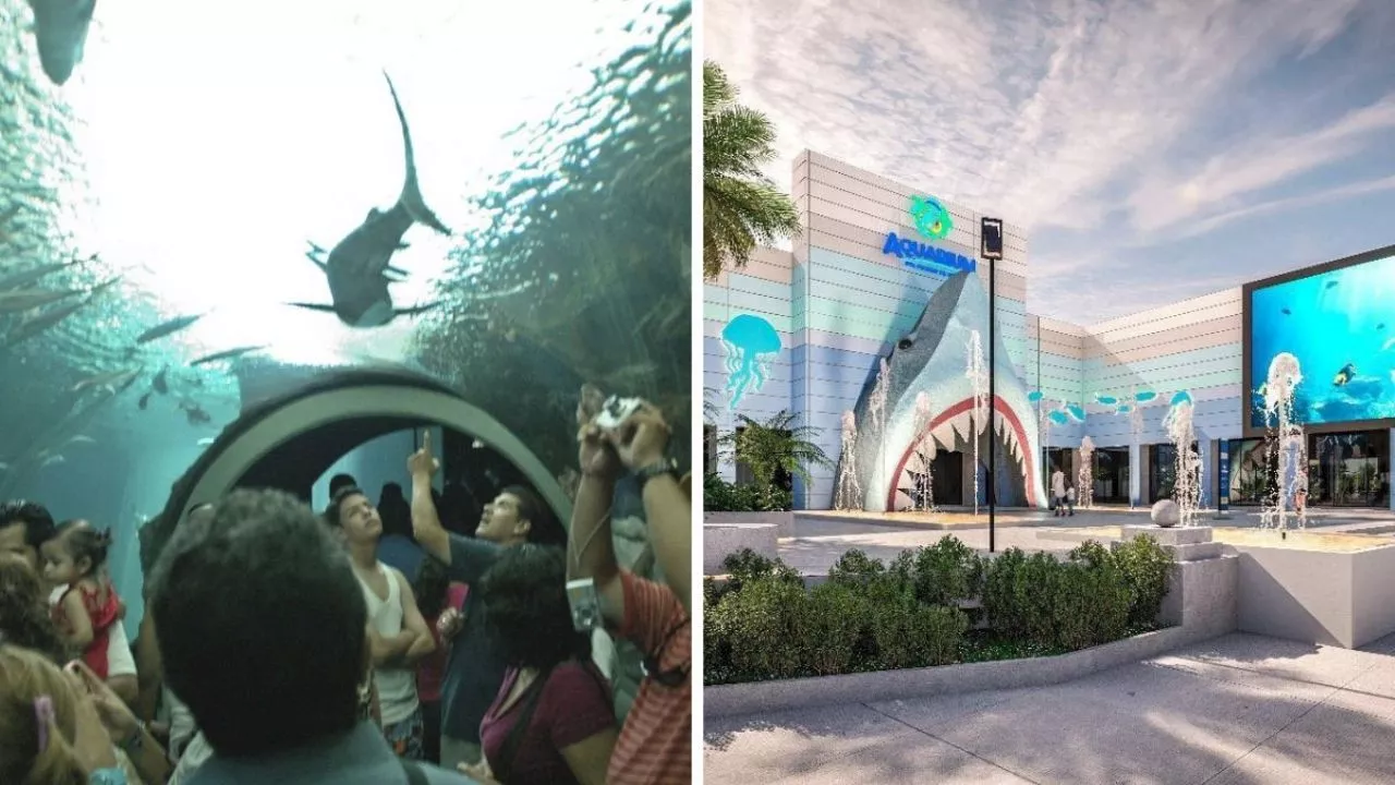 Te mostramos cómo quedará fachada de Aquarium de Veracruz tras remodelación