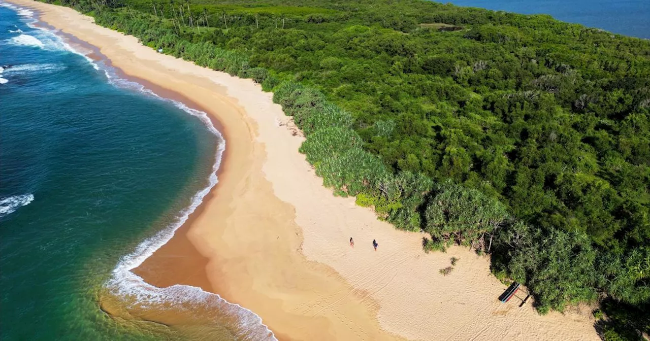 Carnet de voyage au Sri Lanka, paradis pour surfeurs néophyte