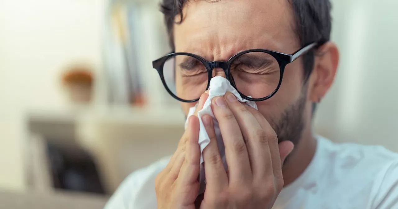 Met Office warning as pollen levels rise across Yorkshire