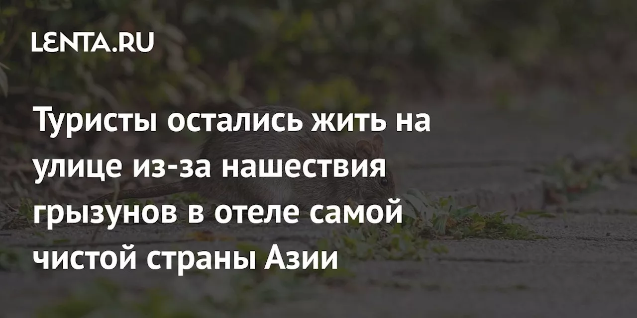 Туристы остались жить на улице из-за нашествия грызунов в отеле самой чистой страны Азии