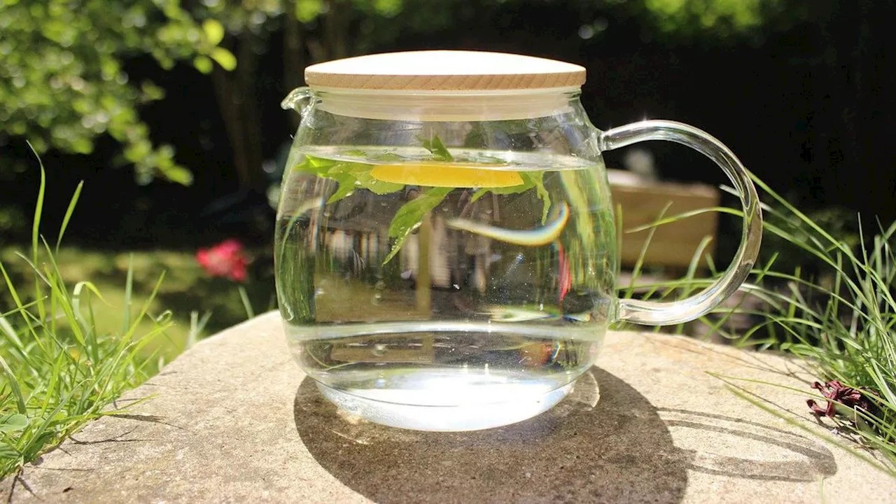 Infuse Water Jeruk Lemon, Resep Mudah untuk Minuman Detoks yang Wajib Dicoba