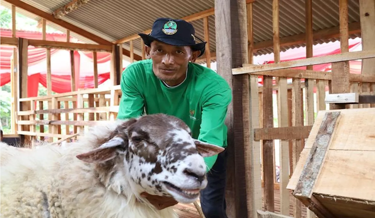 Balai Ternak Baznas Bantu Tingkatkan Kesejahteraan Ekonomi Anwar