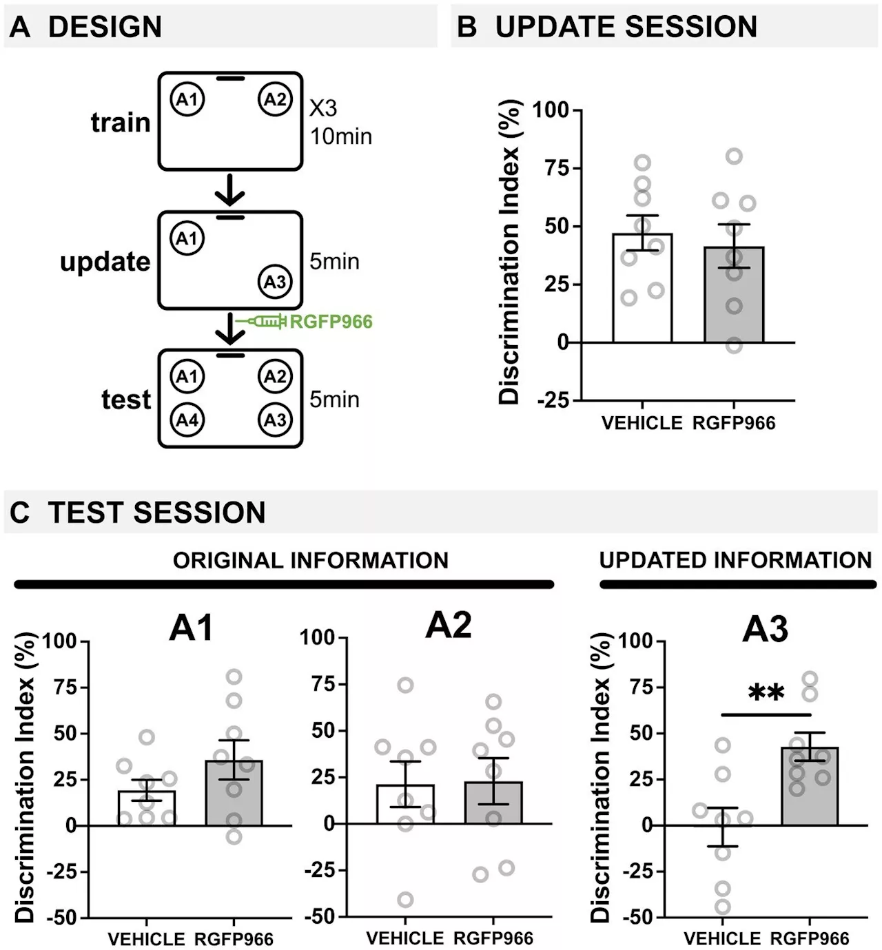 Memory problems in old age linked to a key enzyme, study in mice finds