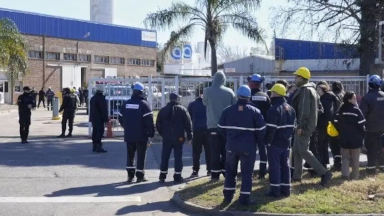 A lo Relatos Salvajes: los tremendos videos de la avioneta que se estrelló en Rosario