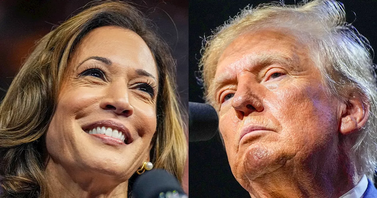 Why Trump's flailing against Harris just isn't landing