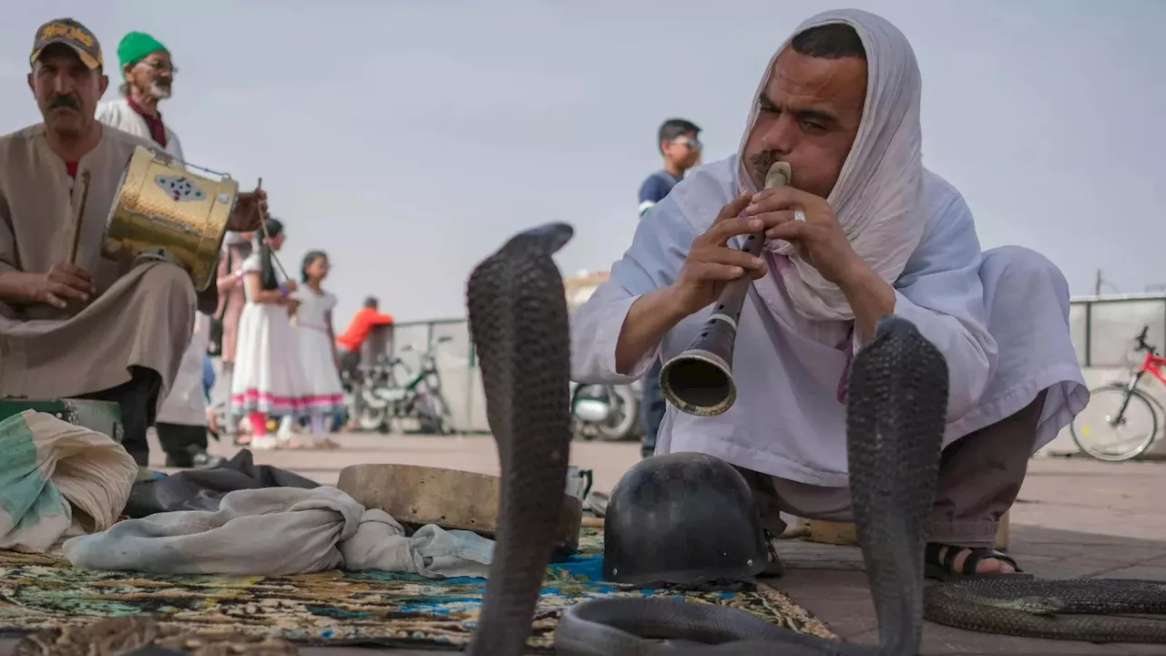 Nag Panchami 2024: सांपों के साथ सोते हैं इस गांव के लोग, साथ होता है खाना-पीना, बच्चों को भी नहीं लगता डर