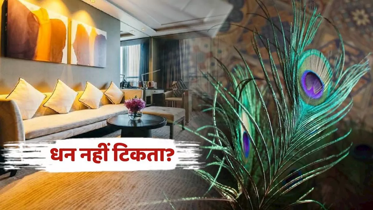 Vastu Tips: इस दिशा में मोर पंख घर में रखने से बढ़ती है धन संपत्ति