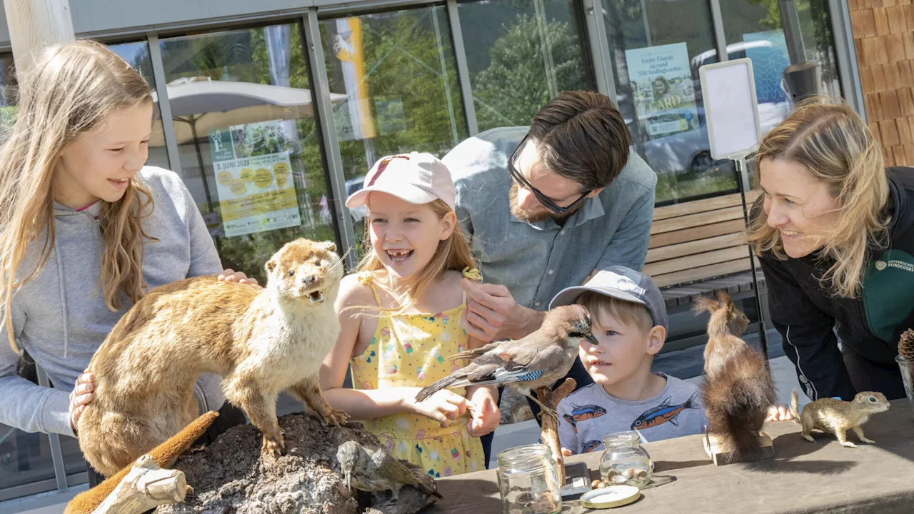 Fest im Haus der Wildnis in Lunz am See