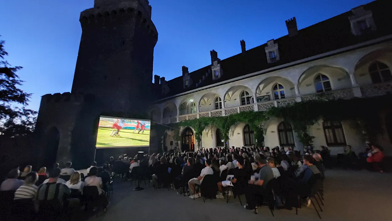 Sommerkino-Auftakt unter Sternenhimmel in Waidhofen/Ybbs