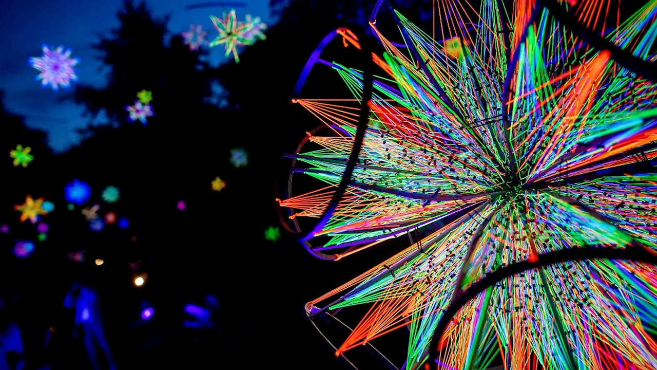 Niedersachsen & Bremen: Lichtkunst im Park der Gärten