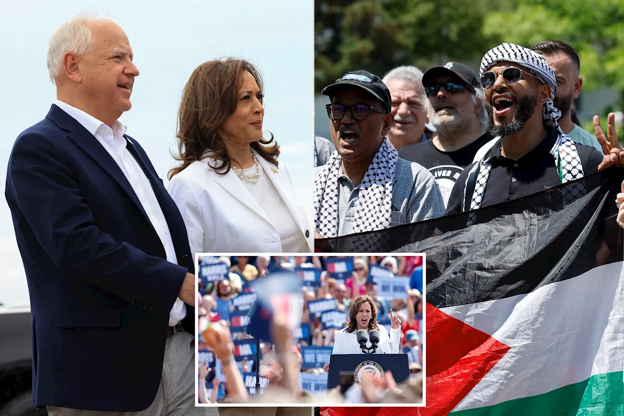 Anti-Israel uncommitted voter group claims Kamala Harris agreed to discuss an arms embargo against Israel