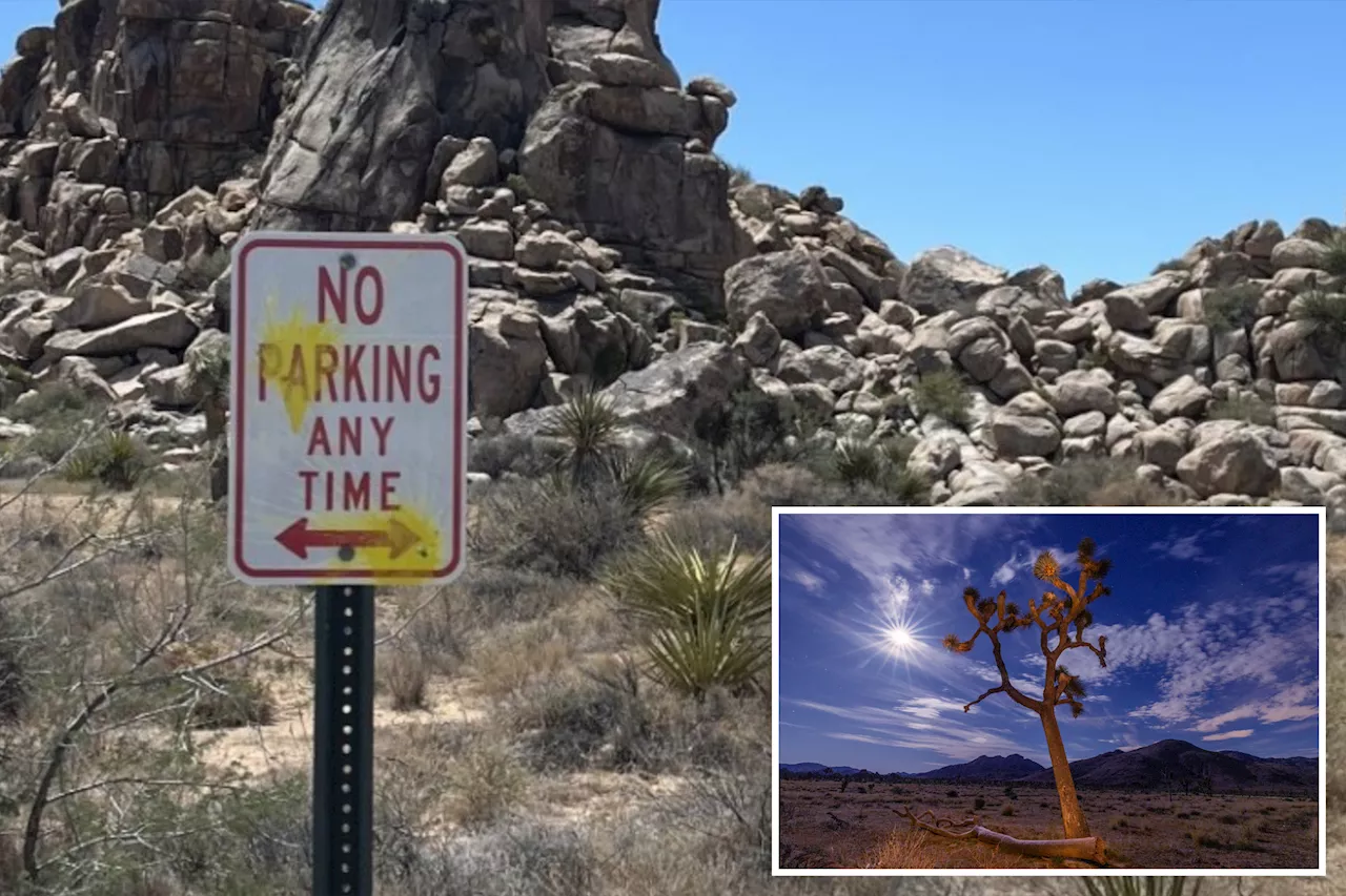 German tourists fired paintballs at signs in Joshua Tree National Park with slingshots: officials