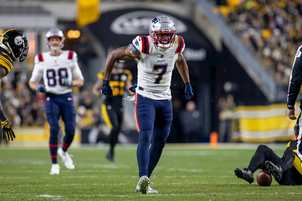 Patriots release former Pittsburgh Steelers Pro Bowl wide receiver