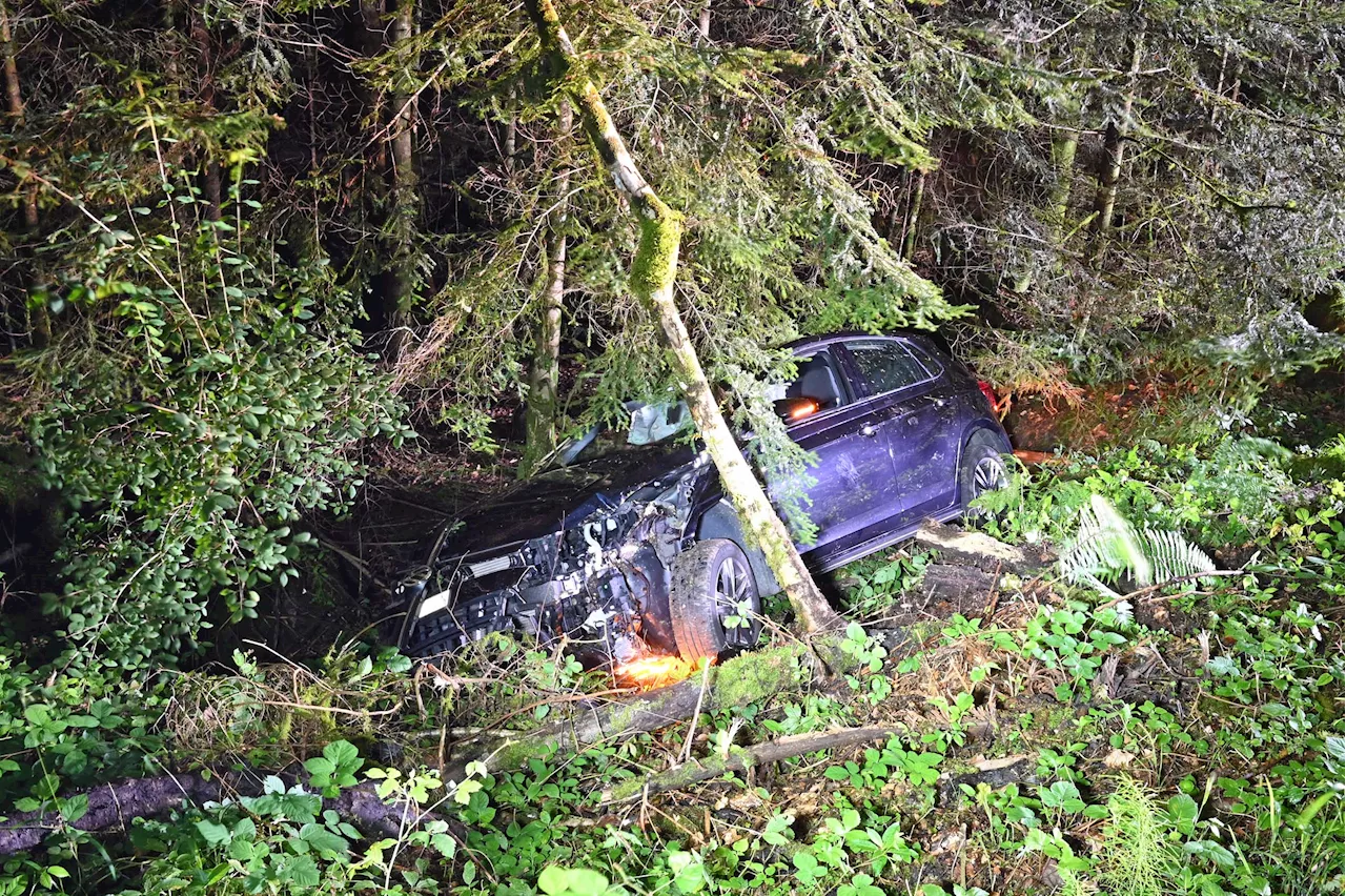 Horw LU / Haltiwald: Auto kollidiert mit Baum – zwei Personen verletzt