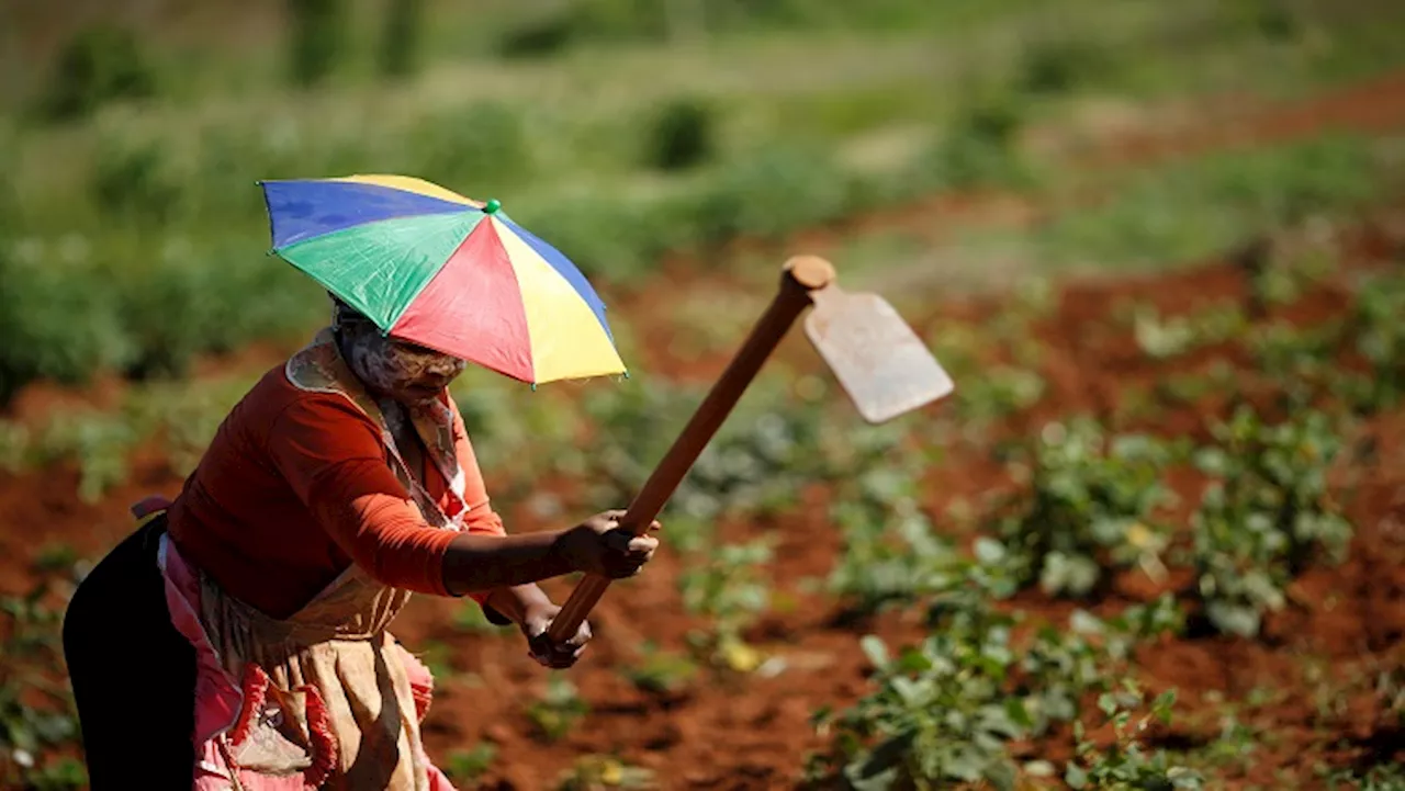 SAHRC urges women to fight poverty amid climate change crisis - SABC News - Breaking news, special reports, world, business, sport coverage of all South African current events. Africa's news leader.