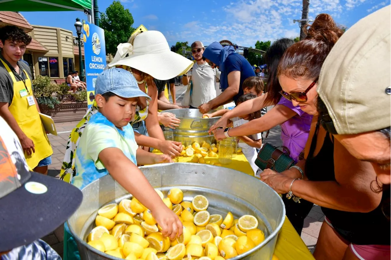 Community events in San Diego County: From Lemon Festival to Taco Fest