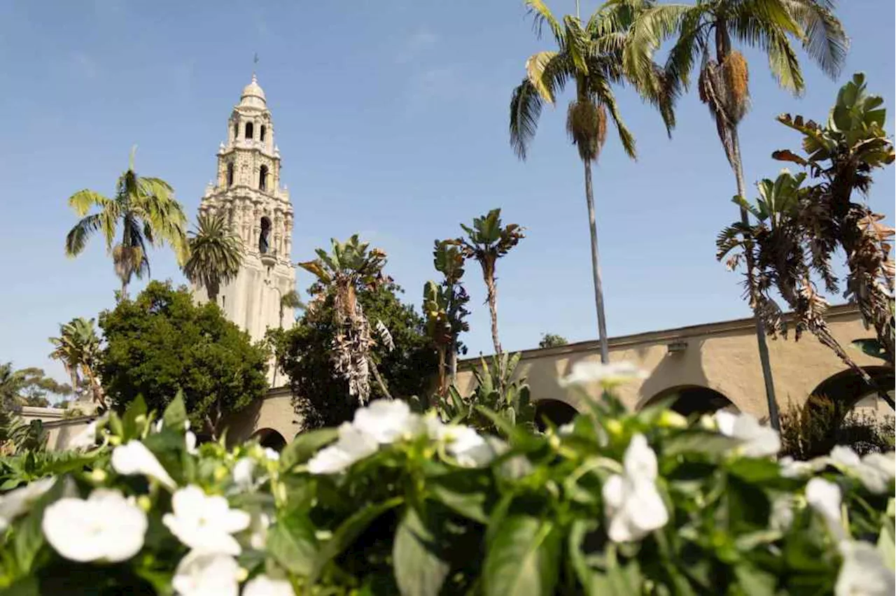 San Diego will update blueprint for Balboa Park and try to revive Starlight Bowl