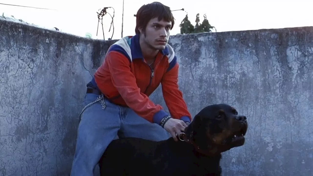 Así luce hoy la calle donde se filmó la escena más icónica de 'Amores perros'