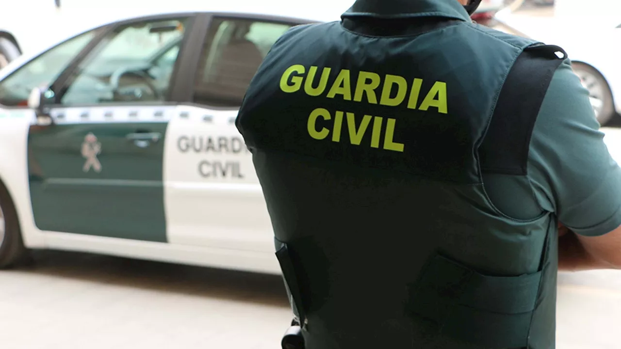 Muere por la picadura de avispa un guardia civil en su finca de Villaquejida (León)