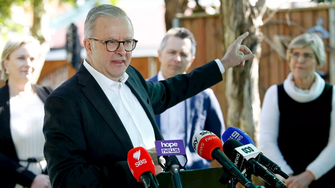 Albanese accusing Greens of community division is ‘the pot calling the kettle black’