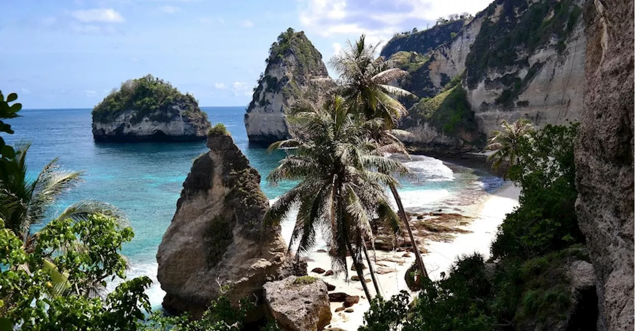 I guerrieri di Bali: 140 volontari fra le mangrovie per ripulire le spiagge dell’isola