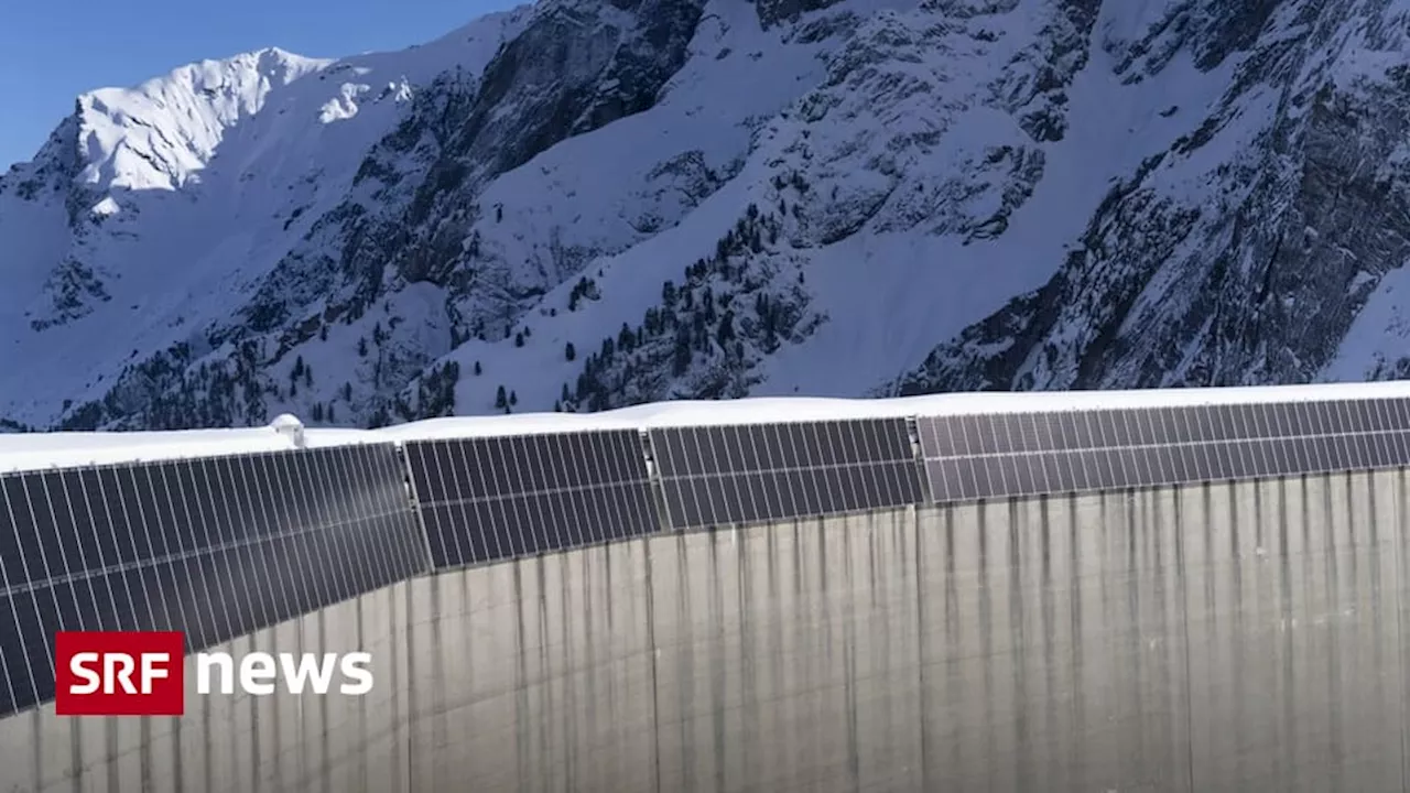 Ausbau des Stromnetzes: Widerstand kostet Zeit und viel mehr Geld