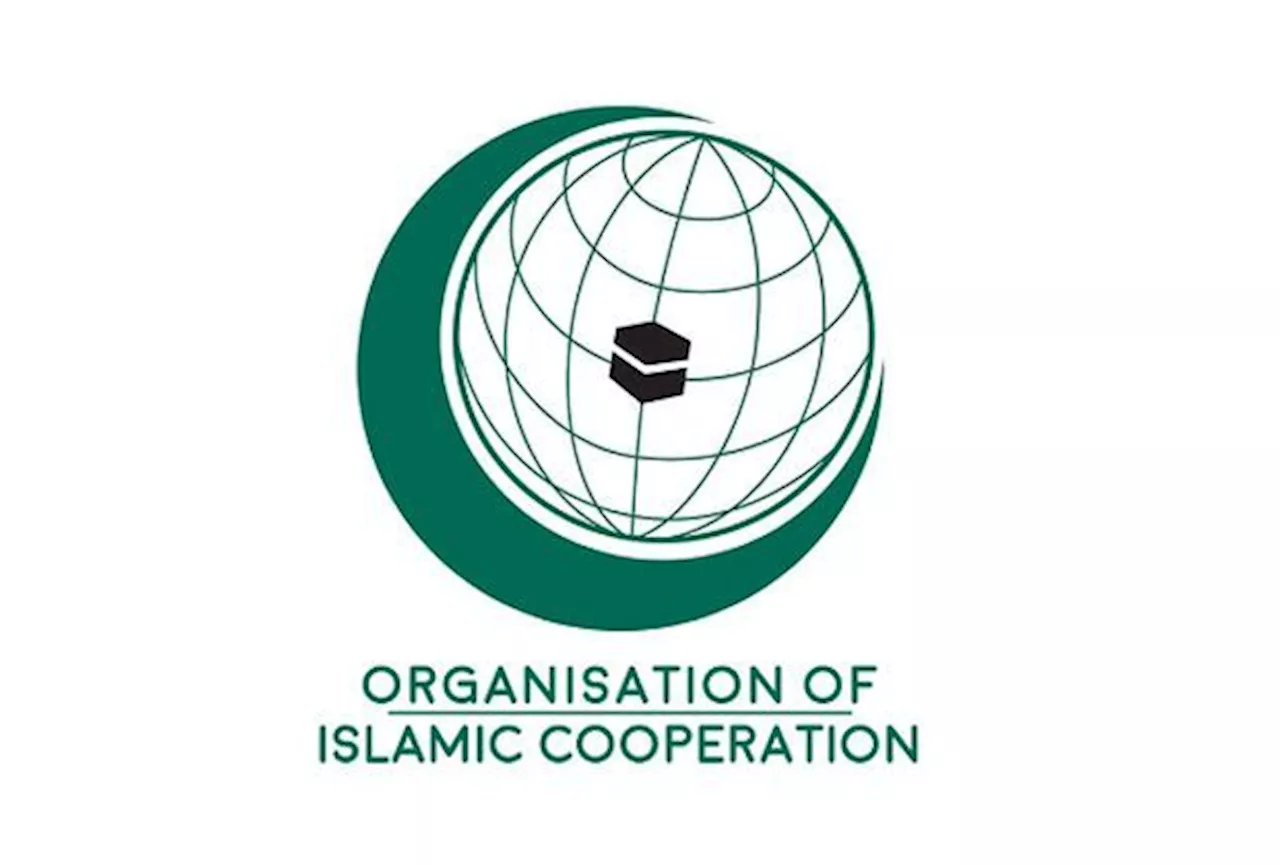 OIC backs Malaysia's stance on Israel's actions against Palestinians and Iran