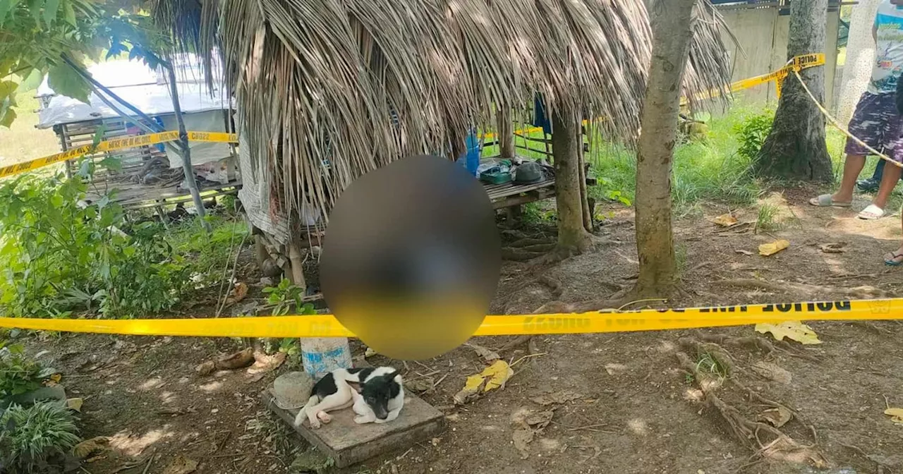 Man kills wife, then self in San Remigio, Cebu