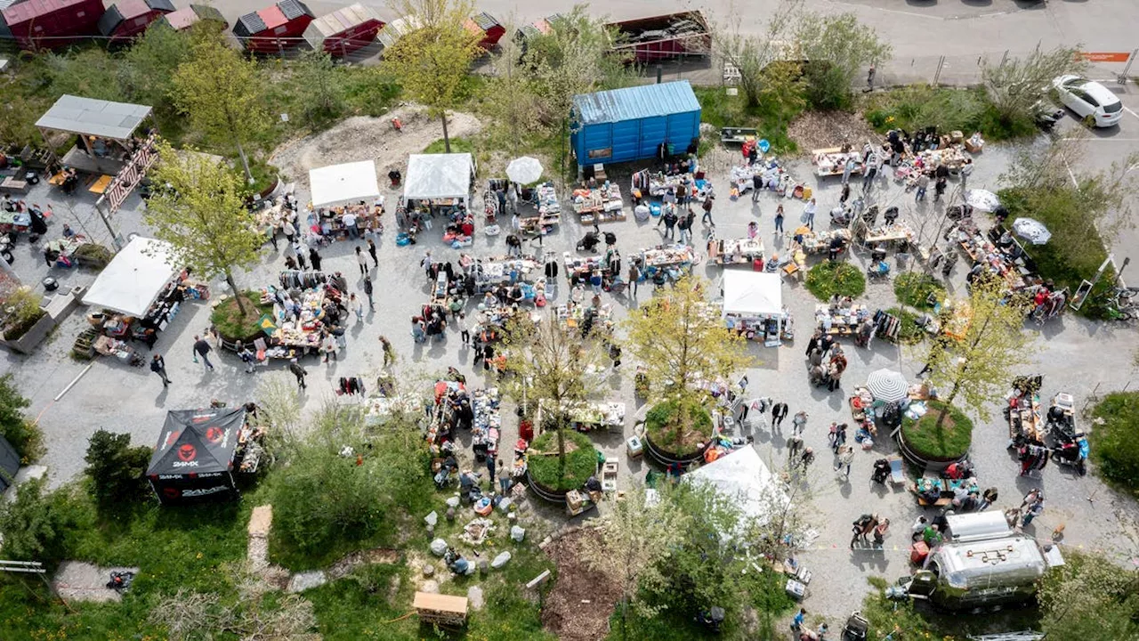 Areal Bach: Erster Flohmarkt nach der Sommerpause +++ Am Bahnhof übernimmt die Natur +++ Unterhaltsarbeiten an der Fürstenlandstrasse