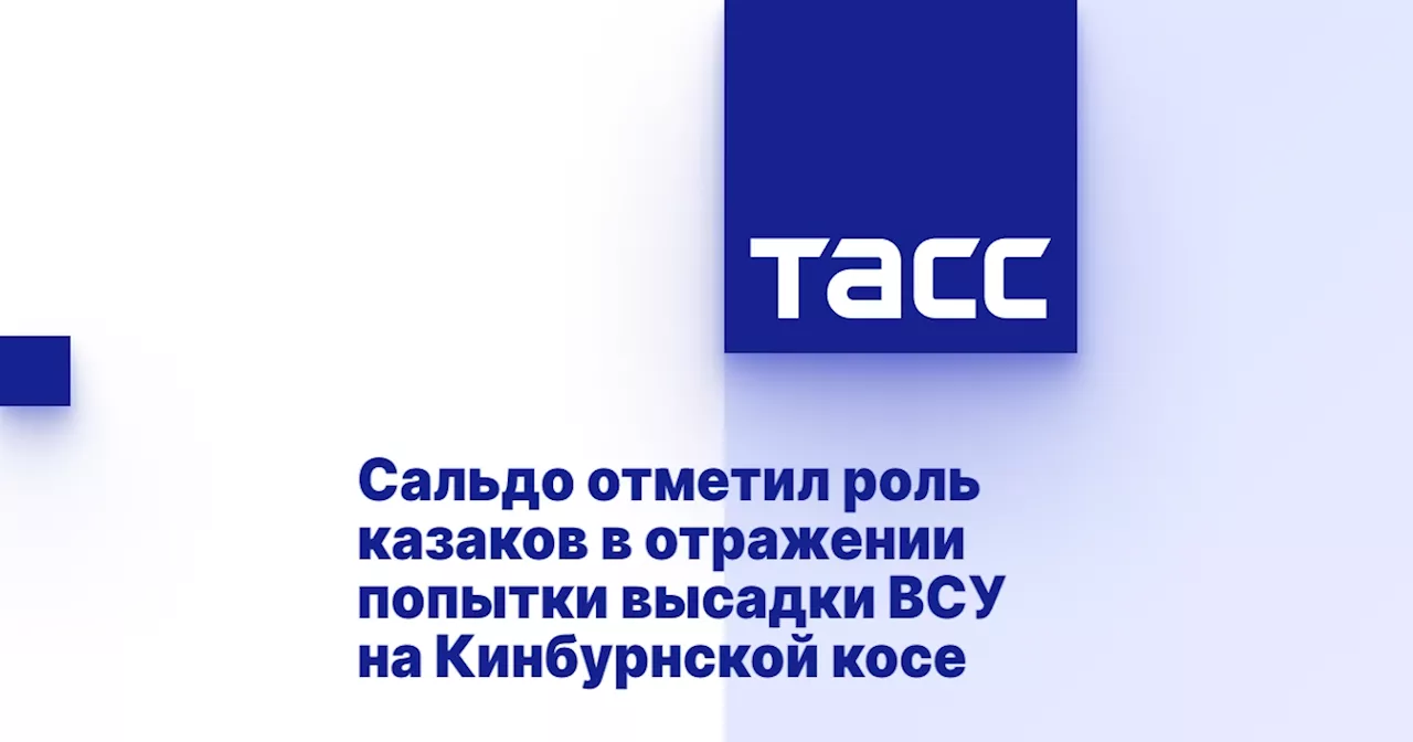 Сальдо отметил роль казаков в отражении попытки высадки ВСУ на Кинбурнской косе