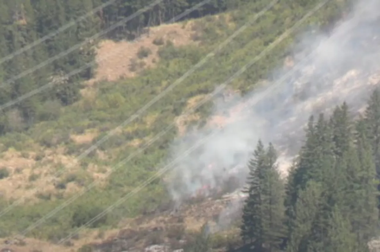 No overnight growth for 700-hectare North Okanagan wildfire