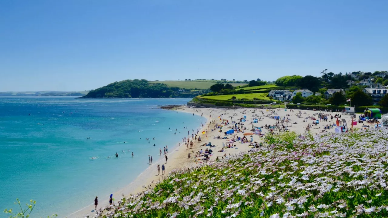 UK set for heatwave as temperatures forecast to hit mid-30s