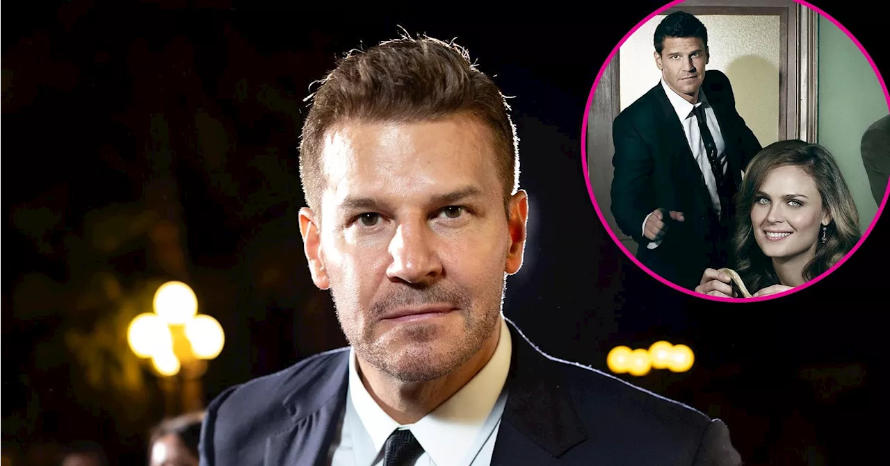 David Boreanaz Opens Up About Possible Bones Revival