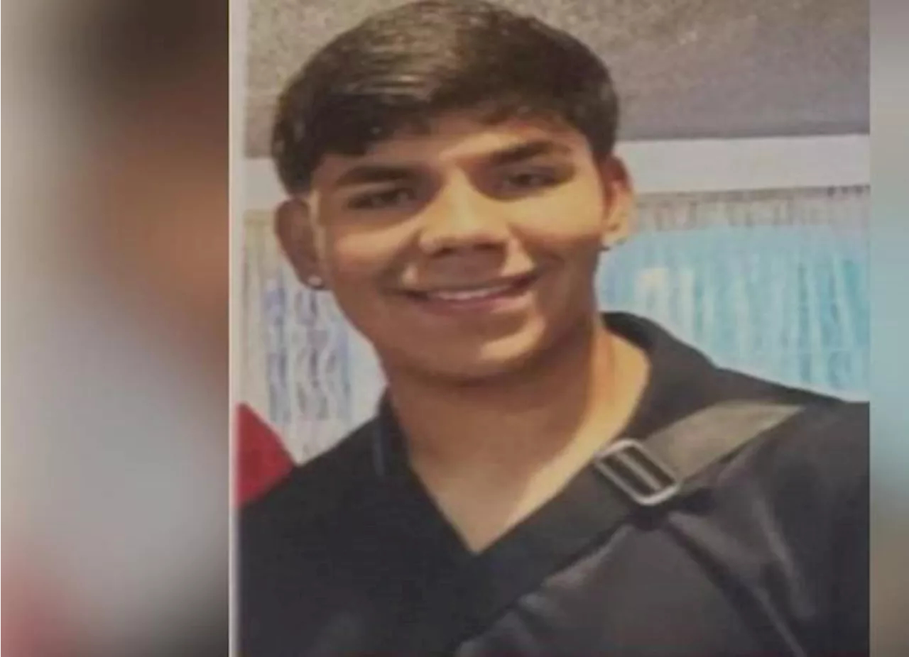 Localizan con vida a Kevin Ulises, quien desapareció junto a su prima en Jalisco