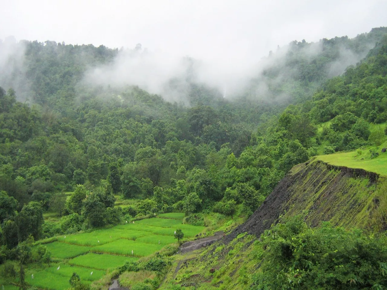 Maharashtra Weather News : आठवड्याच्या शेवटी राज्यातील कोणत्या भागांना पावसाचा तडाखा, कुठे विश्रांती? हवामान विभागाचं उत्तर पाहा...